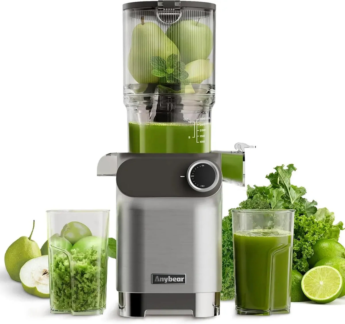 Anybear Slow Juicer 200W mit großem 110 mm Einfüllschacht, BPA-freiem Tritan, verbesserter Schnecke und Saftrezepte, silbergrau